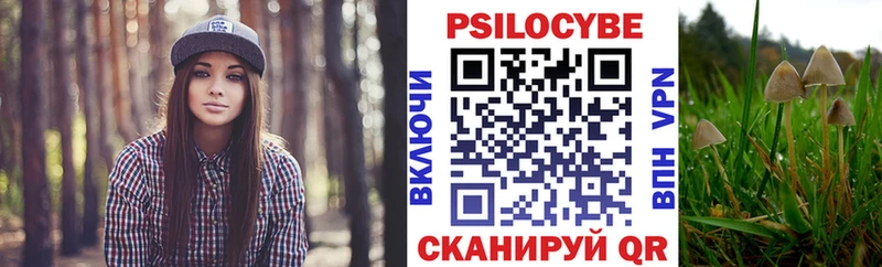 кракен сайт Воткинск Галлюциногенные грибы GOLDEN TEACHER