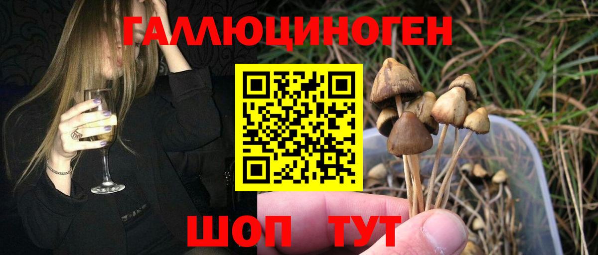 Псилоцибиновые грибы прущие грибы Воткинск